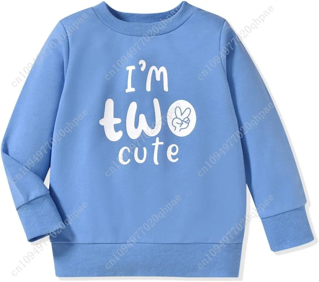 Toddler Boy Birthday Outfit Two/Three/Four/Five/Six Sweatshirt Shirts Birthday Gift