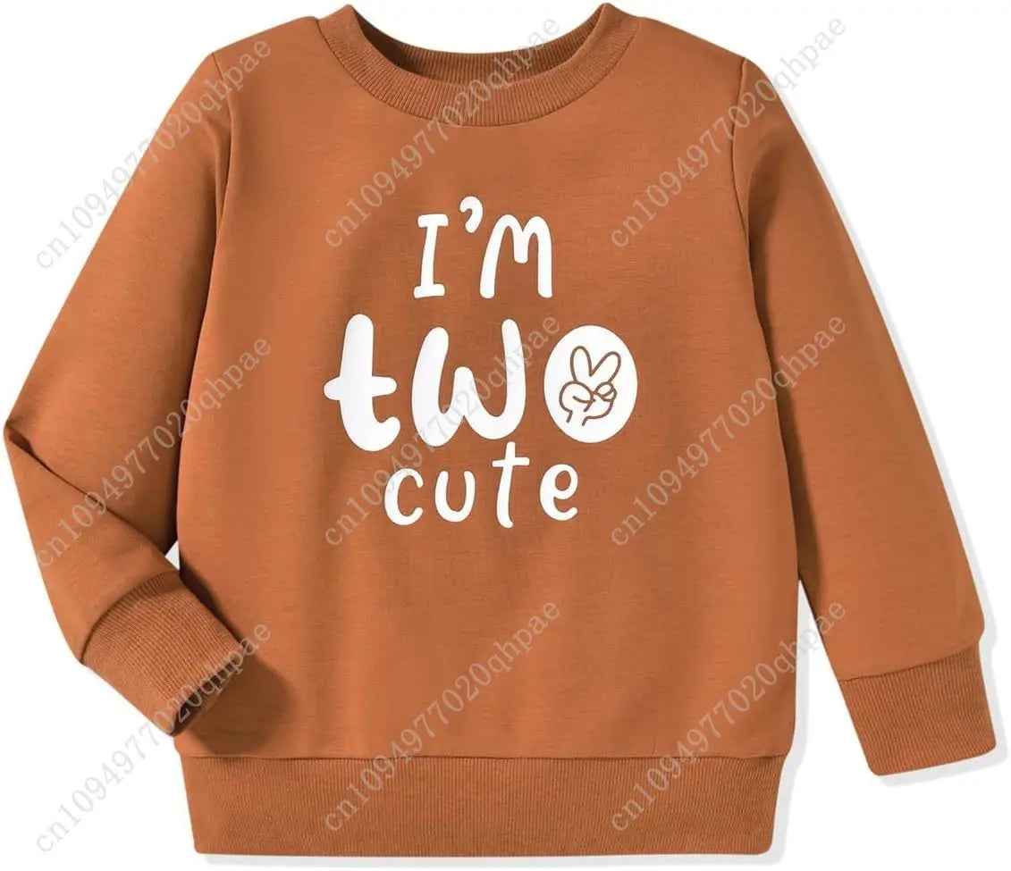 Toddler Boy Birthday Outfit Two/Three/Four/Five/Six Sweatshirt Shirts Birthday Gift