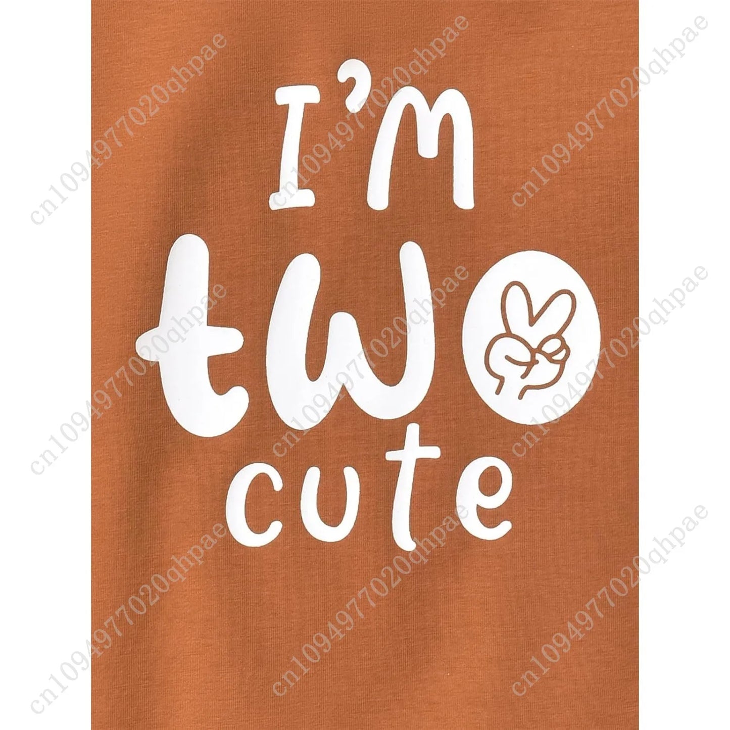 Toddler Boy Birthday Outfit Two/Three/Four/Five/Six Sweatshirt Shirts Birthday Gift