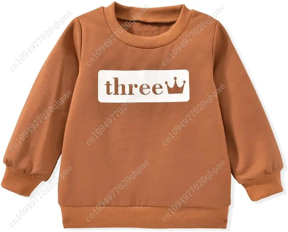 Toddler Boy Birthday Outfit Two/Three/Four/Five/Six Sweatshirt Shirts Birthday Gift