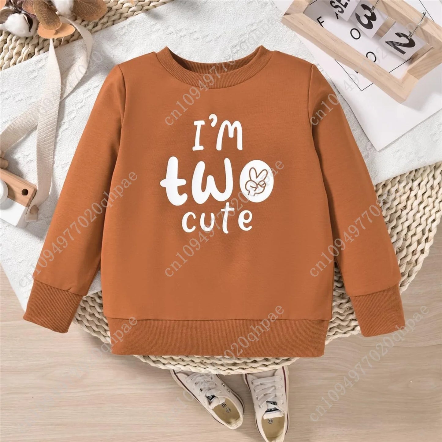 Toddler Boy Birthday Outfit Two/Three/Four/Five/Six Sweatshirt Shirts Birthday Gift