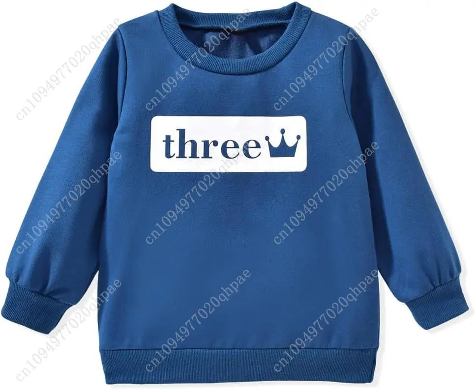 Toddler Boy Birthday Outfit Two/Three/Four/Five/Six Sweatshirt Shirts Birthday Gift